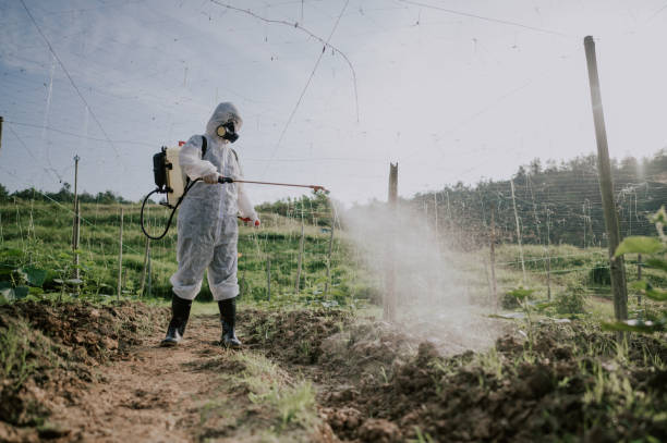 Best Best Pest Control Companies  in Spokane Valley, WA