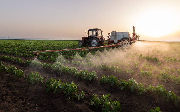 Spokane Valley, WA Pest Control Company