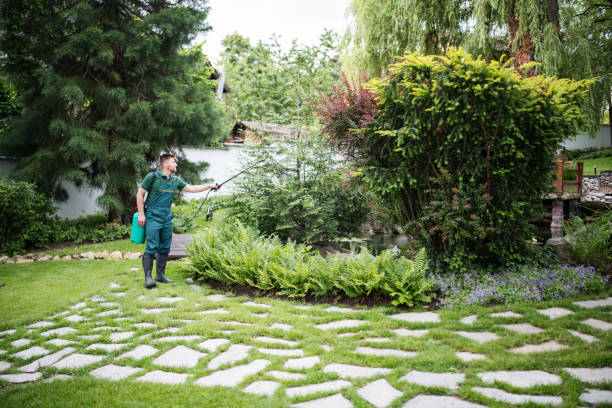 Best Best Pest Control Companies  in Spokane Valley, WA
